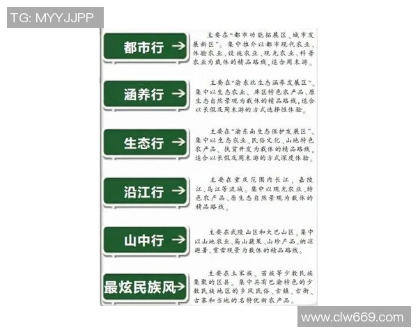 重庆篮球队的控制革新探索与发展路径分析
